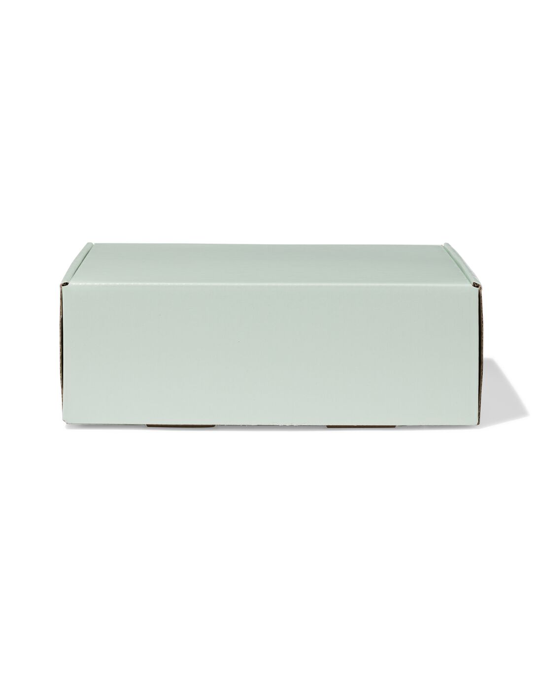 HEMA Verzenddozen 24x17x8cm karton lichtgroen - 3 stuks | HEMA