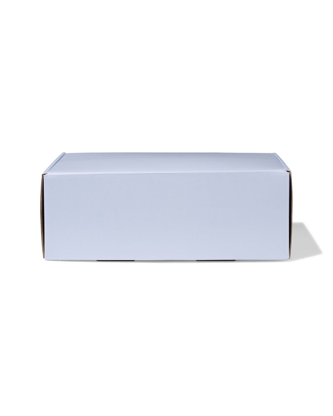 HEMA Verzenddozen 30.5x21.5x11cm karton lichtblauw - 3 stuks | HEMA