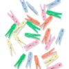 Wasknijpers gerecycled plastic - 24 stuks