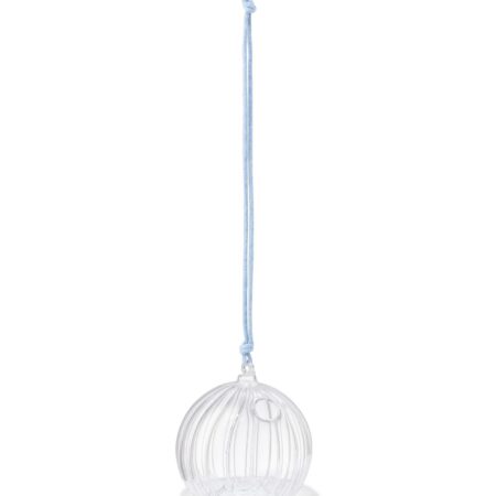 HEMA Wespenvanger ⌀12x12.8cm glas | HEMA