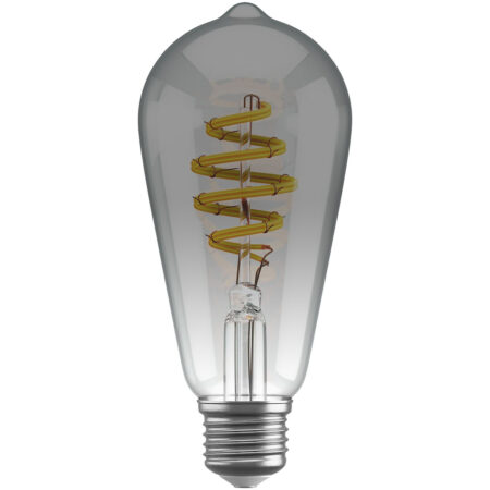 HOMBLI Smart Filament Bulb CCT E27 ST64 Smartverlichting Grijs | Hombli