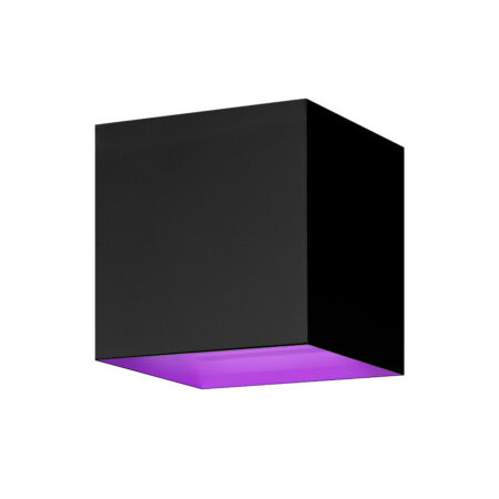 HOMBLI Smart Wall Light Smartverlichting Zwart | Hombli