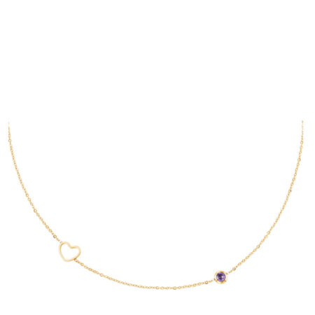Halsketting Geboortesteen Februari goud | Fashionize