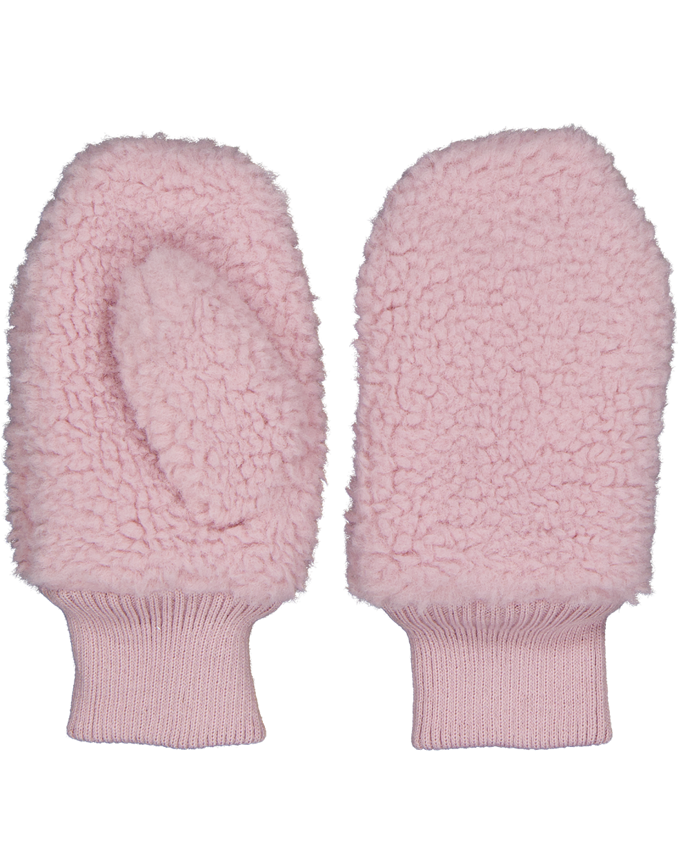 Handschoenen - Paars | Zeeman