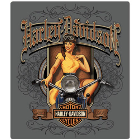 Harley-Davidson Old Scroll Babe Metalen Bord - 33 x 38cm LAATSTE STUKS | 9% korting | Harley-Davidson