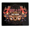 Harley-Davidson Sworn To Fun Babes Metalen Bord - 38 x 33cm LAATSTE STUKS | 18% korting | Harley-Davidson
