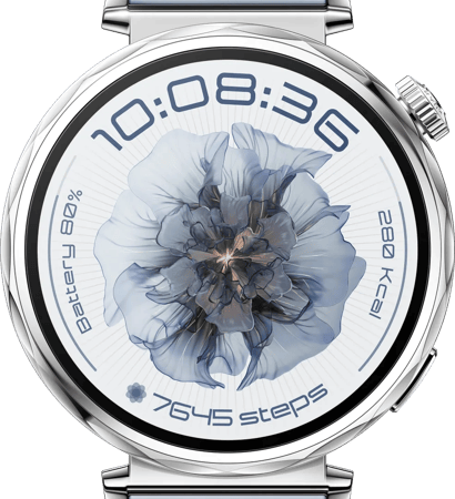 Huawei Watch GT5 Zilver/Blauw 41mm