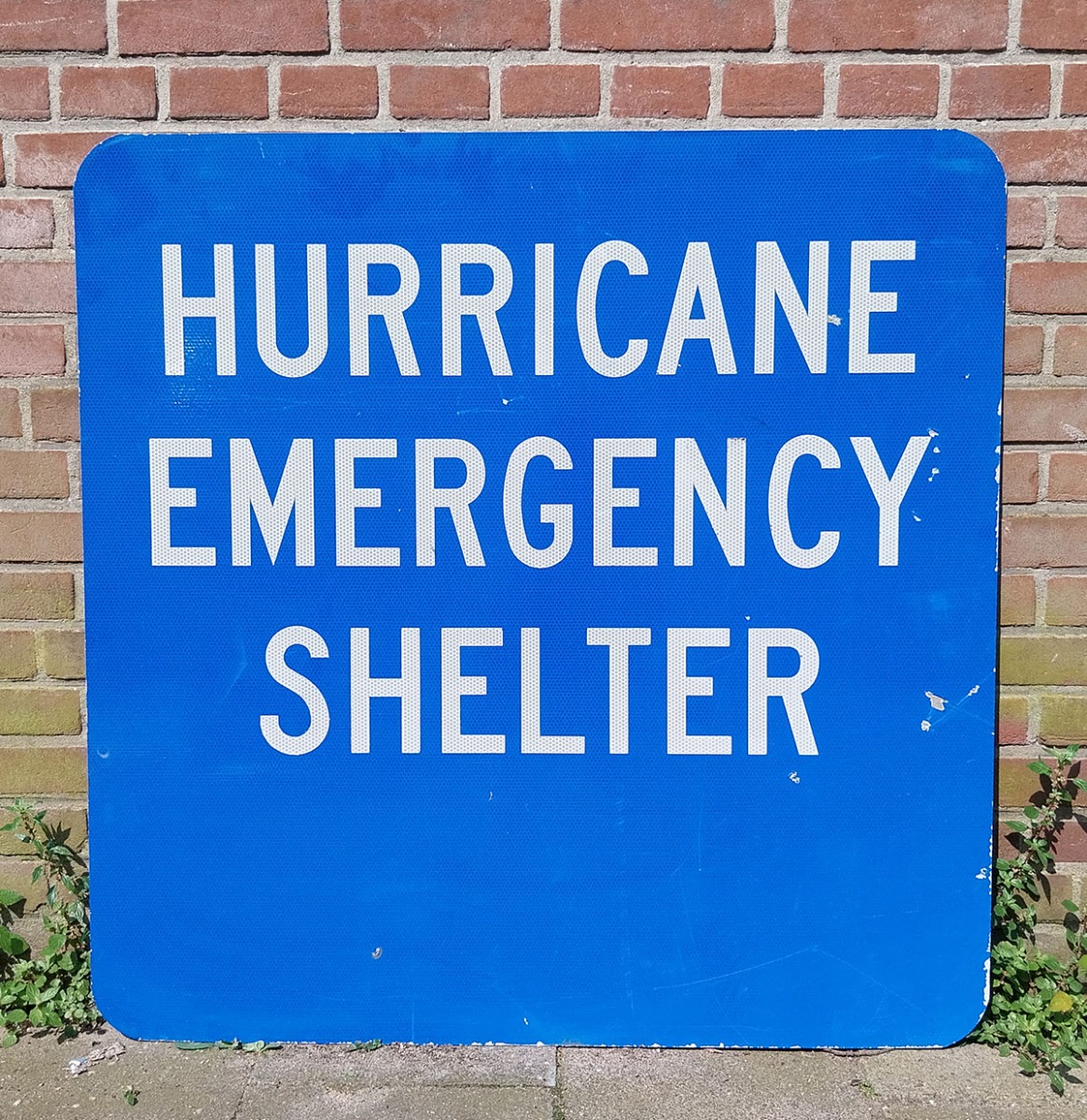 Hurricane Emergency Shelter Straat Bord - 91 x 91cm - Origineel (1) | The Dutch Pickers