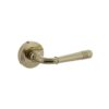 Intersteel Deurklink Helena op rozet 55x10 mm messing gelakt | Intersteel