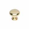 Intersteel Meubelknop paddenstoel 25 mm messing gelakt | Intersteel