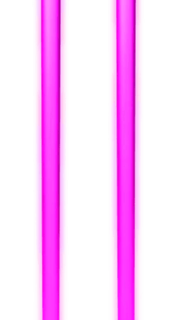 JBL Partylight Stick duo pack