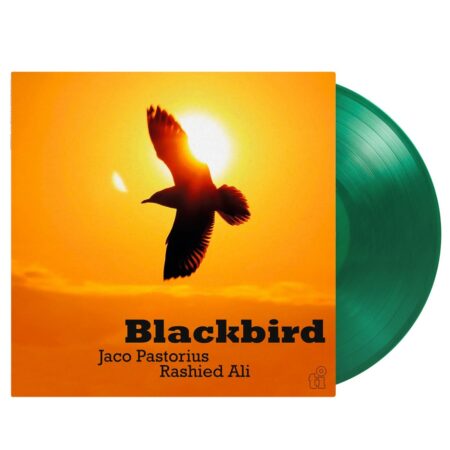 Jaco Pastorius & Rashied Ali - Blackbird (LP) | Fiftiesstore