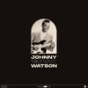 Johnny 'Guitar' Watson - Essential Works 1953-1962 2 | 19% korting (LP) | Fiftiesstore