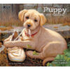 Kalender Puppy | LANG