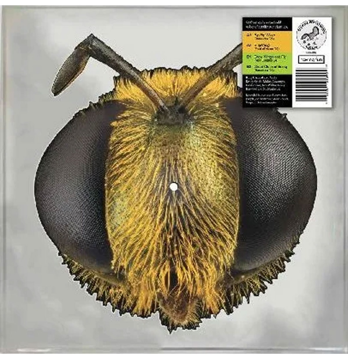 King Gizzard & The Lizard Wizard - Big Fig Wasp (Picture Disc) (Record Store Day 2026) 12" Vinyl | Fiftiesstore
