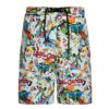 King Kerosin AOP Lago di Garda Swim Shorts Off White Blue-XXXL | King Kerosin