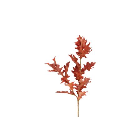 Kunsttak Quercus rood 20xH94cm | Countryfield