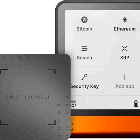 Ledger Flex Orange incl. Recovery Key