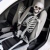 Life Size Skeleton - 170 cm - Human Size - Halloween Skelet | MikaMax