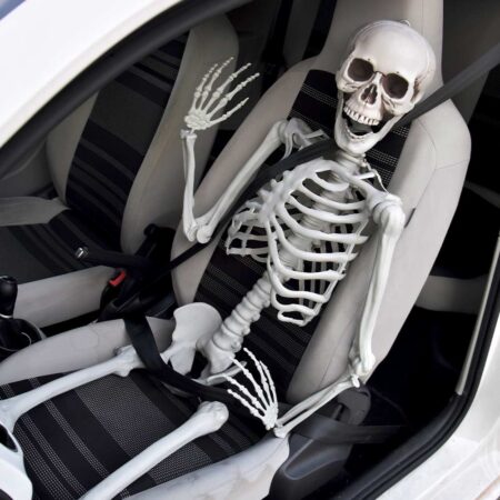 Life Size Skeleton - 170 cm - Human Size - Halloween Skelet | MikaMax