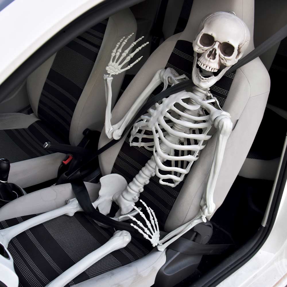 Life Size Skeleton - 170 cm - Human Size - Halloween Skelet | MikaMax