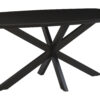 LivingFurn Deens Ovale Eettafel 'Jesper' Mangohout