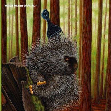 Madlib - Low Budget High Fi Music (Record Store Day Black Friday 2022) (LP) | Fiftiesstore