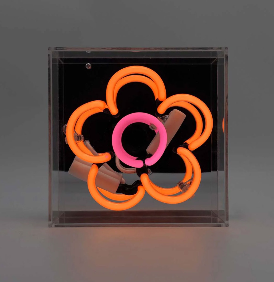 Mini Glazen Neon Box - Daisy - Oranje | Fiftiesstore