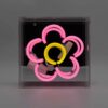 Mini Glazen Neon Box - Daisy - Roze | Fiftiesstore