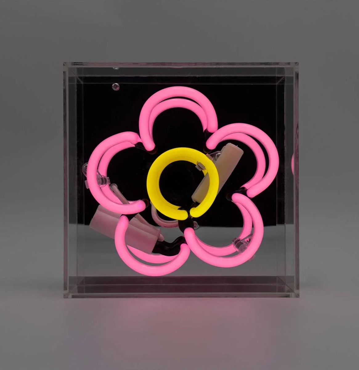 Mini Glazen Neon Box - Daisy - Roze | Fiftiesstore