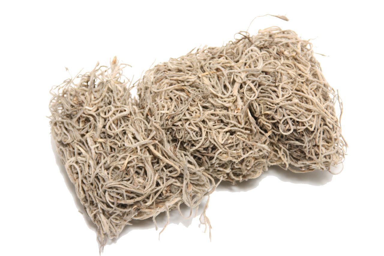 Mos Tillandsia 80gr Naturel | HBX natural living