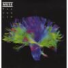 Muse - The 2nd Law 2- (LP) | Fiftiesstore