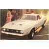 Mustang Koppel Met Ijs - Vintage Foto