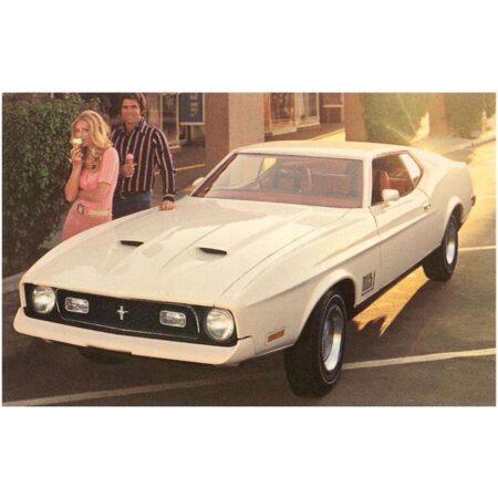 Mustang Koppel Met Ijs - Vintage Foto