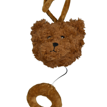 Muziekdoos - Bruin | Zeeman