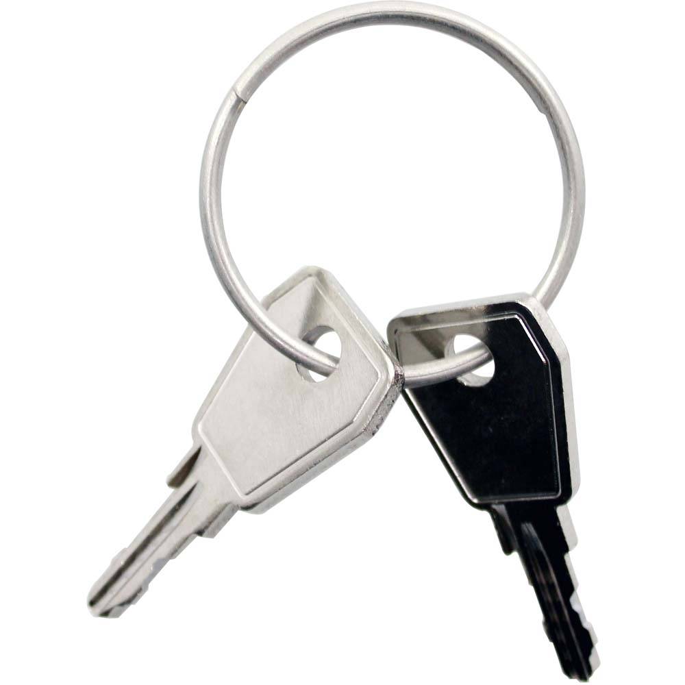 Nexxt sleutel P9 2 stuks | Thule Yepp