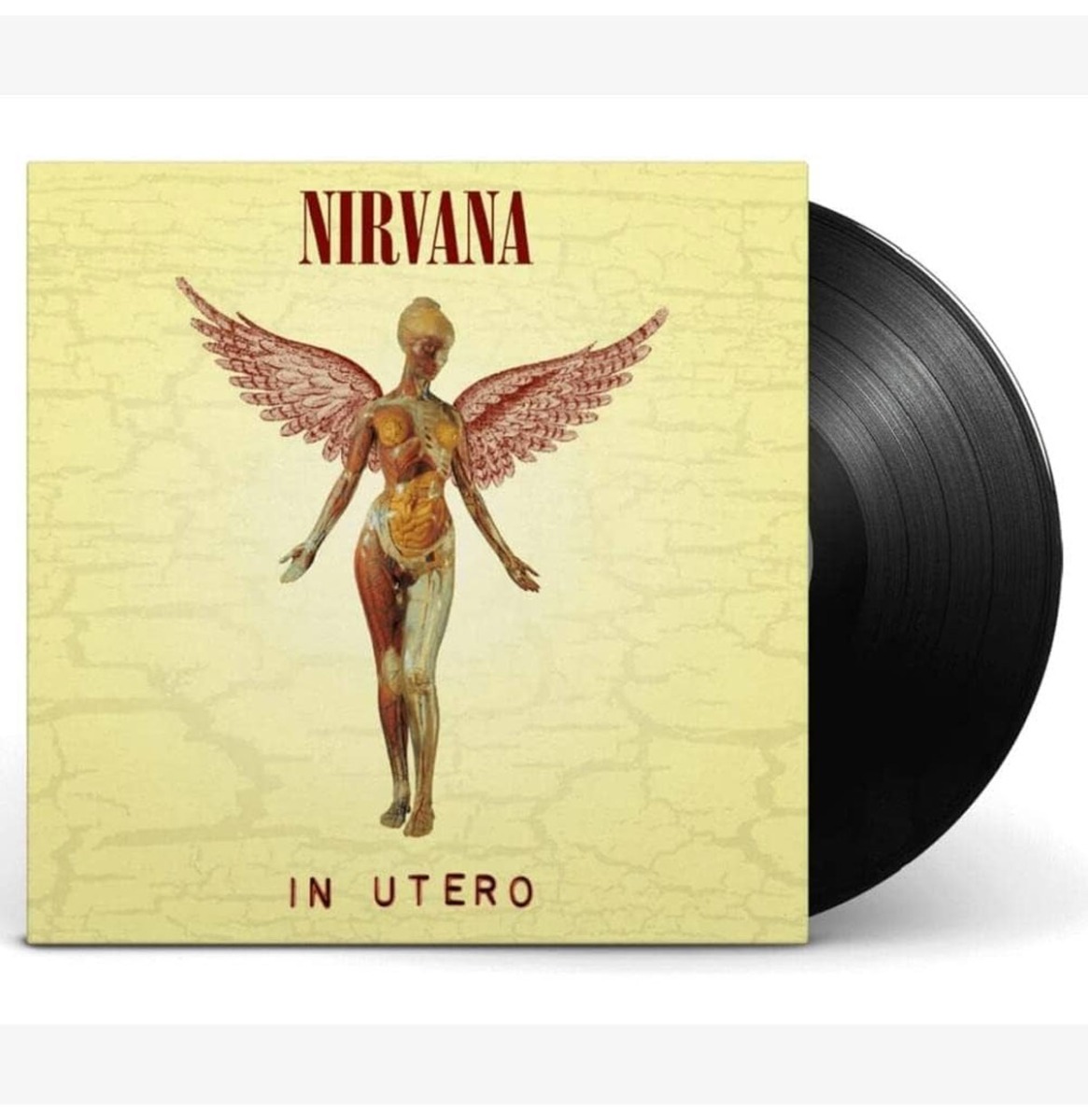 Nirvana - In Utero (LP) | Fiftiesstore