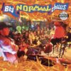 Normaal - Bi-j Normaal Thuus 2 (LP) | Fiftiesstore