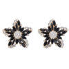 Oorbellen Ster Zwart | Fashionize