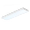 Opbouw LED Paneel - 30x120 cm - 36 Watt - 4860lm (135lm/W) - 6500K daglicht wit - 1-10V Dimbaar - Flikkervrij - UGR22 - 5 jaar garantie | HOFTRONIC