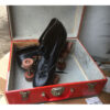 Originele Rolschaatsen Met Koffer | The Dutch Pickers