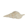 Ornament Shell Keramiek Creme zand | Light & Living