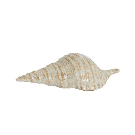 Ornament Shell Keramiek Creme zand | Light & Living