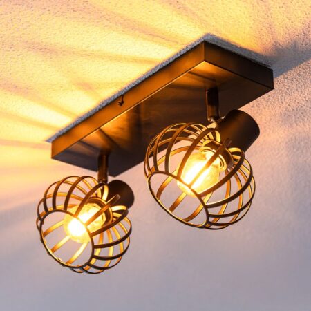 Petal - LED Plafondlamp - 2 spots - E14 Fitting - Kantelbaar & Draaibaar - Zwart | HOFTRONIC