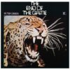 Peter Green - The End Of The Game - Wit Gekleurd Vinyl - Beperkte Oplage (LP) | Fiftiesstore
