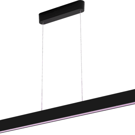 Philips Hue Ensis hanglamp White & Color Zwart