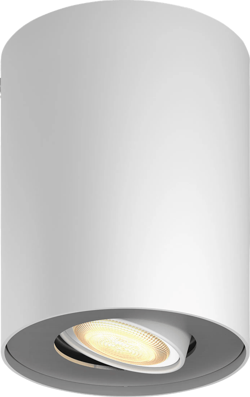 Philips Hue Pillar Opbouwspot White Ambiance - Wit - 1-spots