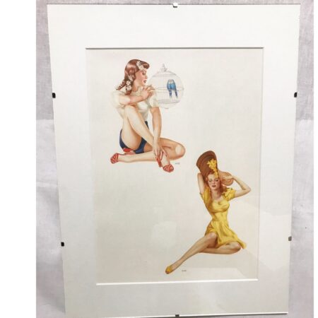 Pin up Meisje Vogels Gelimiteerd Art In Lijst Met Glas | The Dutch Pickers