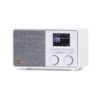 Pinell Supersound 201 W Hybride radio Wit | Pinell