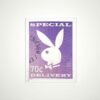 Playboy Wall Art - Limited Edition Postzegel Paars | Playboy
